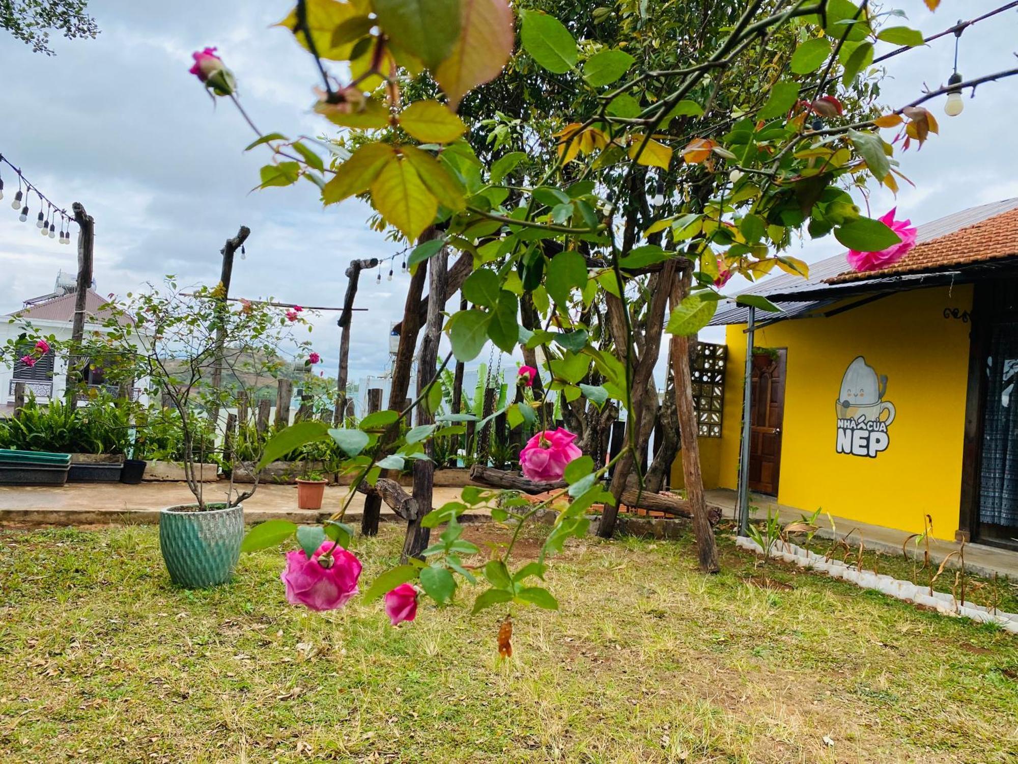 Villa Nhà của Nếp Plei Brel Esterno foto
